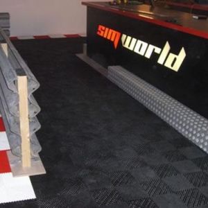 SimWorld 2