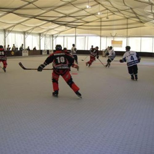 Sportdeck® Inline Hockey