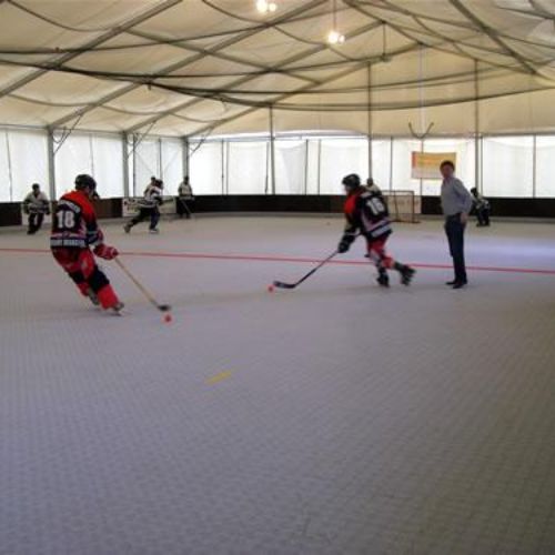 Sportdeck® Inline Hockey
